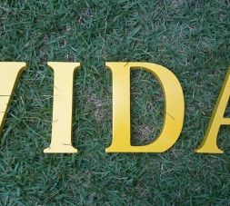 vida