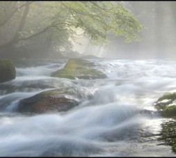 Cascading Stream under Sunlight in Forest