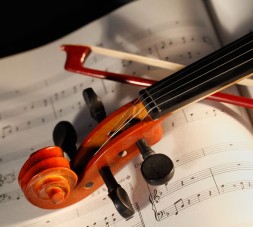 violino